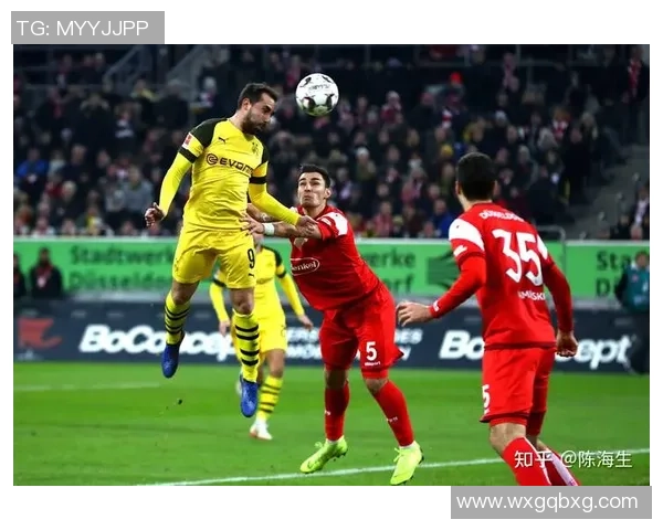 深度分析杭州篮球队独特防守策略与战术执行细节